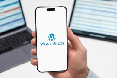 wordpress